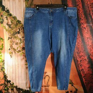 EUC: Agnes Orinda Sze 4X Blue Stretchy High Rise Skinny Jeans